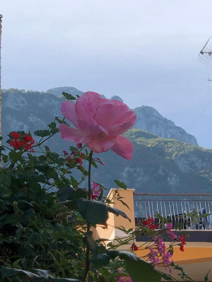 Il Riccio, Valle Roveto Country House Roccavivi ภายนอก รูปภาพ
